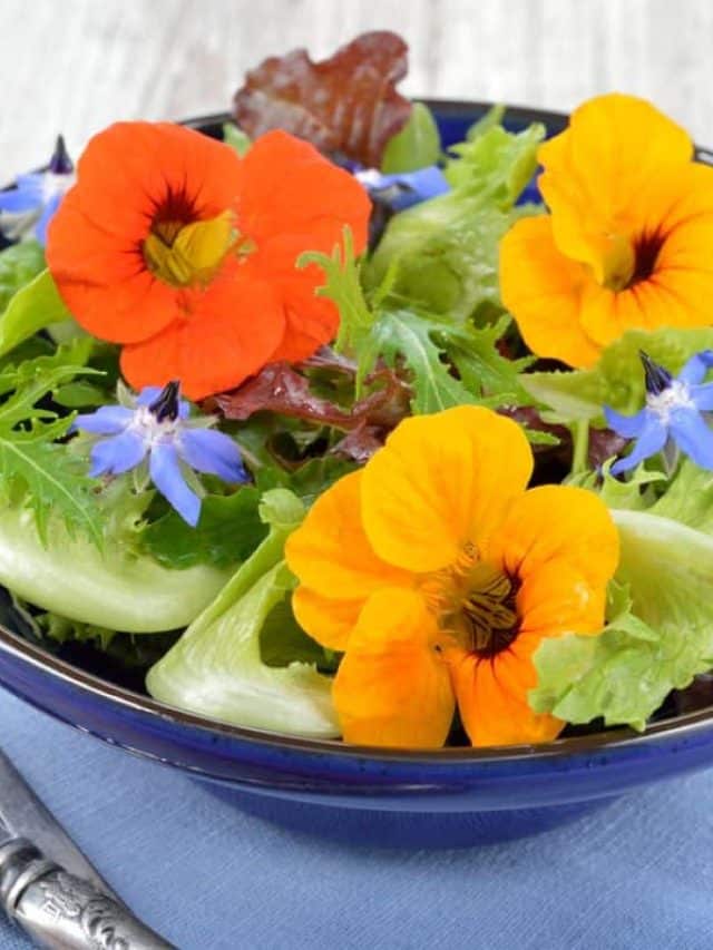 12 Surprising Food Trends on Social Media That Are Turning Heads Story