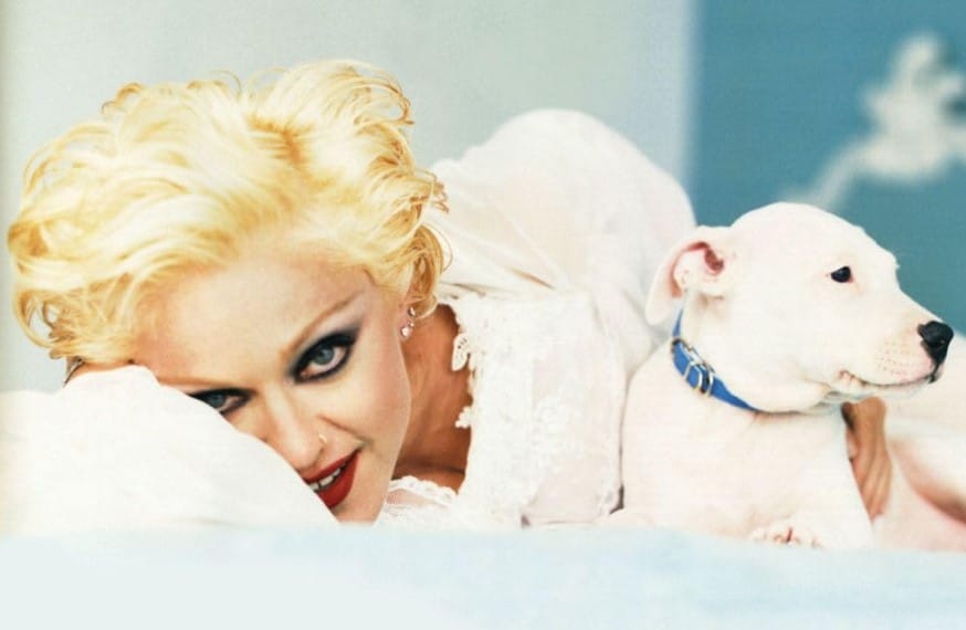 Bedtime Story by Madonna (1995)
